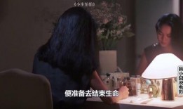 小生怕怕在线观看,在线观看，揭秘童年恐惧的奇幻冒险之旅