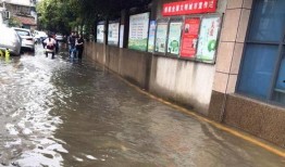 解放路学校爆料视频,校园生活真实写照