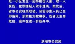 如何向洪湖新闻爆料