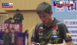 刘新爆料乒乓球视频完整版,乒乓球视频完整版深度解析