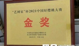 中国球员媳妇爆料视频播放,揭秘球员私生活背后的真相