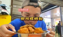 柳州网红吃瓜,揭秘网络红人的幕后故事
