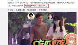今日娱乐爆料金世佳视频,神秘幕后故事引网友热议