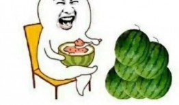 娱乐吃瓜在哪看,盘点各大平台热门八卦资讯汇总