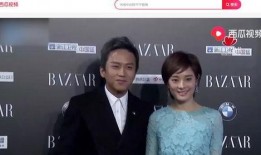 明星被爆料黑历史视频播放,揭秘娱乐圈不为人知的真相