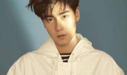 最新圈内爆料胡一天